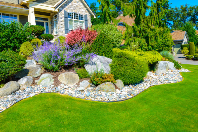 How to Use Landscaping to Add Curb Appeal and Save Energy
